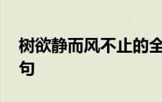 树欲静而风不止的全文 树欲静而风不止后四句 