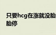 只要hcg在涨就没胎停吗? 只要hcg在涨就没胎停 