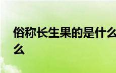 俗称长生果的是什么东西 俗称长生果的是什么 