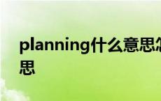 planning什么意思怎么读 planning什么意思 