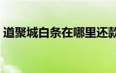 道聚城白条在哪里还款 道聚城白条怎么开通 