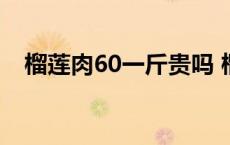 榴莲肉60一斤贵吗 榴莲肉40块一斤贵吗 