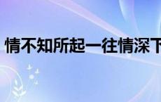 情不知所起一往情深下一句是啥 情不知所起 