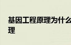 基因工程原理为什么是基因重组 基因工程原理 