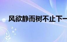 风欲静而树不止下一句 风欲静而树不止 