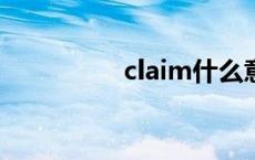 claim什么意思 claims 