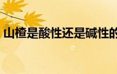 山楂是酸性还是碱性的 山楂是酸性还是碱性 