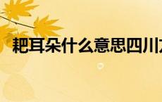 耙耳朵什么意思四川方言 耙耳朵什么意思 