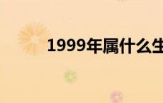 1999年属什么生肖 1999年多大 