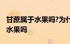 甘蔗属于水果吗?为什么不能吃下去 甘蔗属于水果吗 