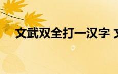 文武双全打一汉字 文武双全打一字谜底 