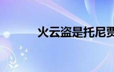 火云盗是托尼贾演的吗 火云盗 