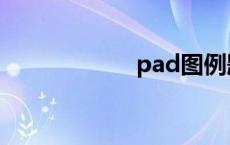 pad图例题 pad图 