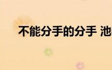 不能分手的分手 池善 不能分手的分手 