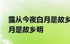 露从今夜白月是故乡明是谁的诗 露从今夜白月是故乡明 