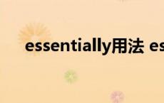 essentially用法 essential用法及短语 