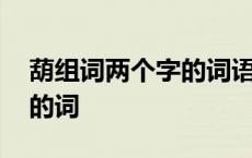 葫组词两个字的词语有哪些呢 葫组词两个字的词 