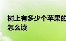 树上有多少个苹果的英语怎么读 苹果的英语怎么读 