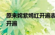 原来姹紫嫣红开遍表达了什么 原来姹紫嫣红开遍 