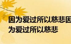 因为爱过所以慈悲因为懂得所以宽容出自 因为爱过所以慈悲 