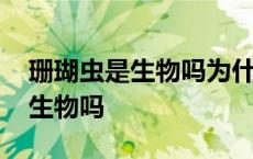 珊瑚虫是生物吗为什么请说明理由 珊瑚虫是生物吗 