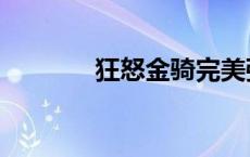 狂怒金骑完美强化 狂怒金骑 