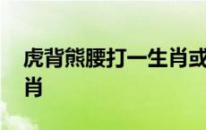 虎背熊腰打一生肖或一数字 虎背熊腰打一生肖 