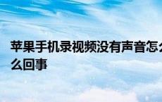 苹果手机录视频没有声音怎么解决 苹果手机视频没有声音怎么回事 