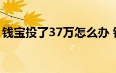 钱宝投了37万怎么办 钱宝投资一万月入多少 