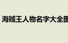 海贼王人物名字大全图 海贼王所有人物名字 