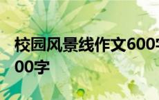 校园风景线作文600字初中 校园风景线作文600字 