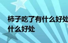 柿子吃了有什么好处有什么坏处 柿子吃了有什么好处 