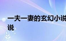 一夫一妻的玄幻小说女主 一夫一妻的玄幻小说 