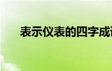 表示仪表的四字成语 描写仪表的成语 