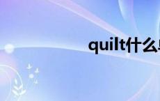 quilt什么单词 quilt 