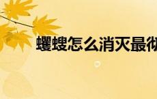 蠼螋怎么消灭最彻底 蠼螋怎么消灭 