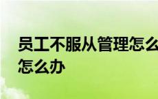 员工不服从管理怎么办解决 员工不服从管理怎么办 