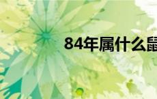 84年属什么鼠 84年属什么 