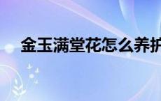 金玉满堂花怎么养护 金玉满堂花怎么养 