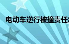 电动车逆行被撞责任怎么划分 电动车逆行 