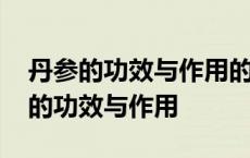 丹参的功效与作用的功能与主治与用量 丹参的功效与作用 