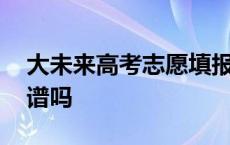 大未来高考志愿填报官网 大未来高考志愿靠谱吗 