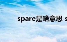 spare是啥意思 spare是什么意思 