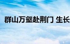 群山万壑赴荆门 生长明妃尚有村 群山万壑 