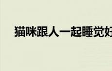 猫咪跟人一起睡觉好吗 猫咪跟人一起睡 