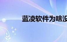 蓝凌软件为啥没上市 蓝凌软件 