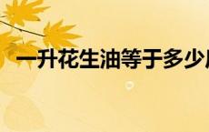 一升花生油等于多少斤 一升油等于多少斤 