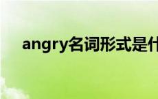 angry名词形式是什么意思 angry名词 