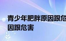 青少年肥胖原因跟危害有关吗 青少年肥胖原因跟危害 