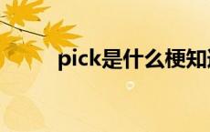 pick是什么梗知道 pick是什么梗 